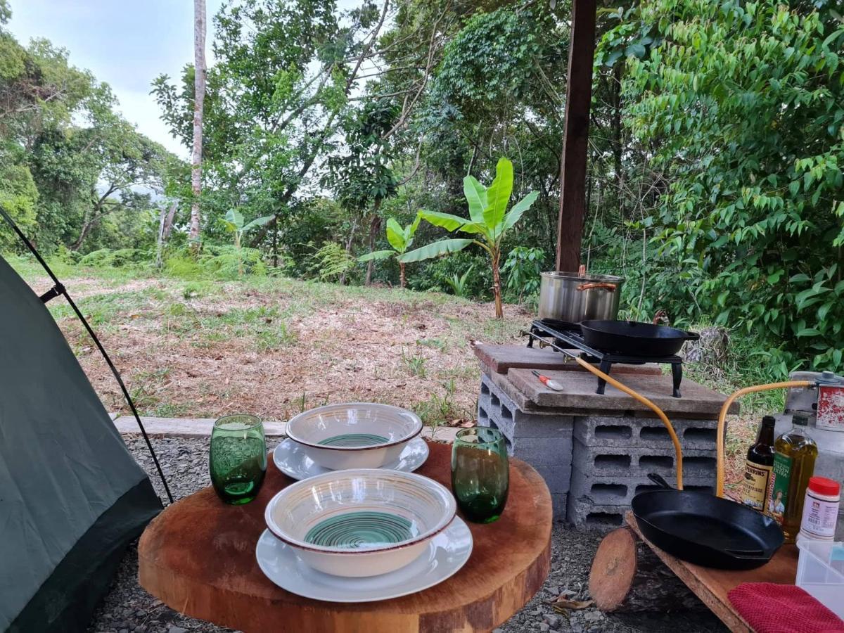 Jungle Eco Reserve 호텔 콜론 외부 사진