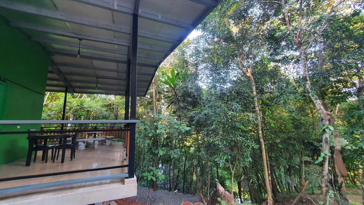 Jungle Eco Reserve 호텔 콜론 외부 사진