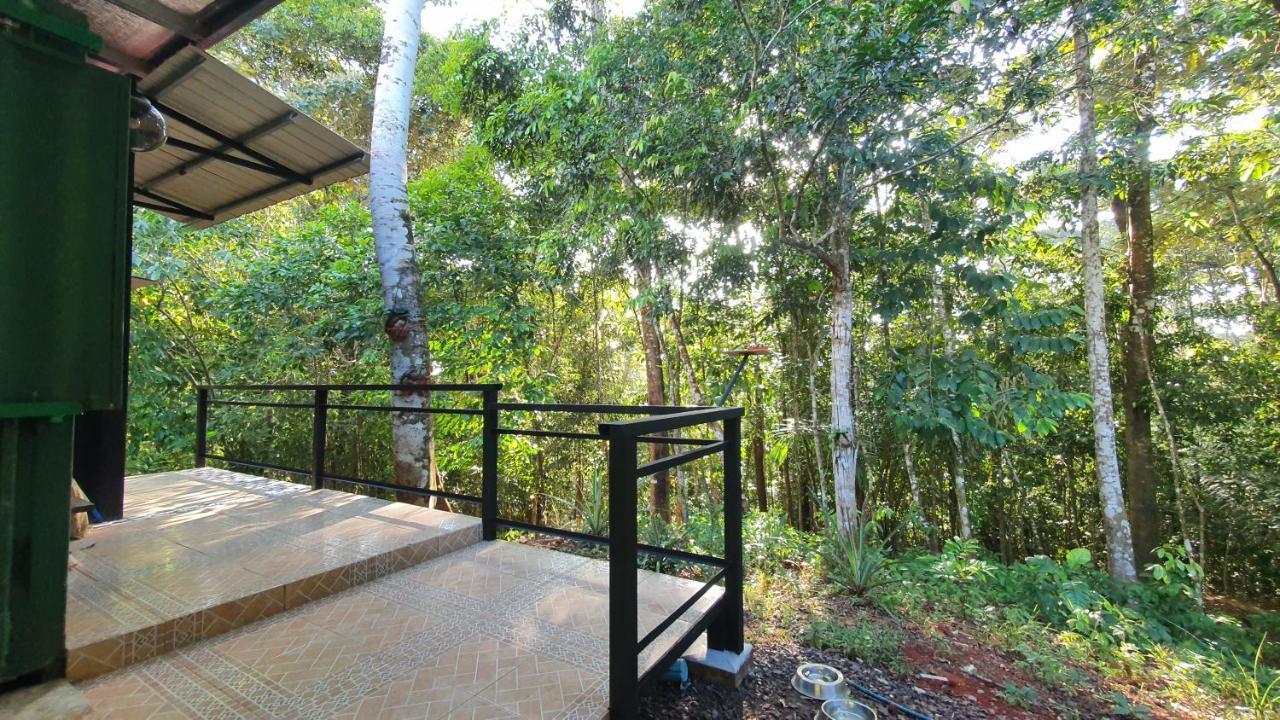 Jungle Eco Reserve 호텔 콜론 외부 사진