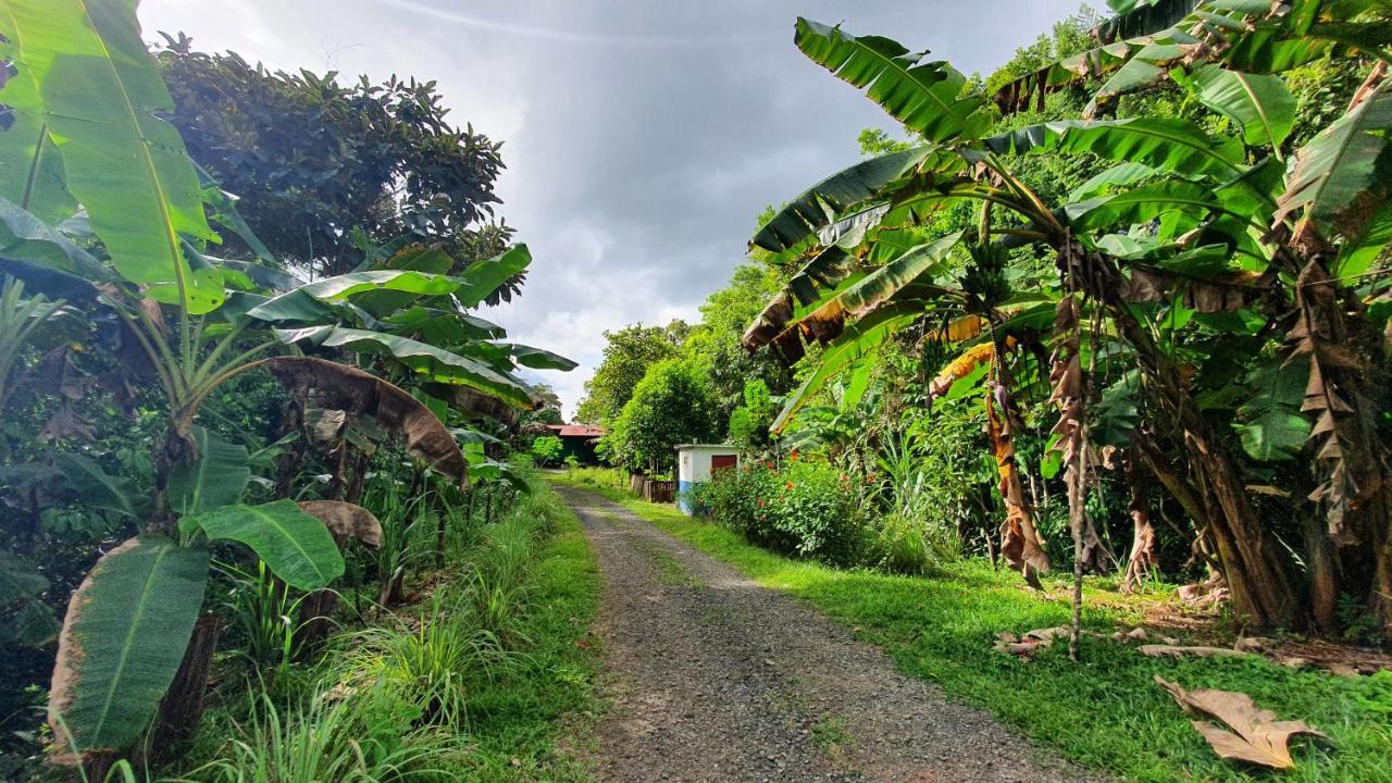 Jungle Eco Reserve 호텔 콜론 외부 사진