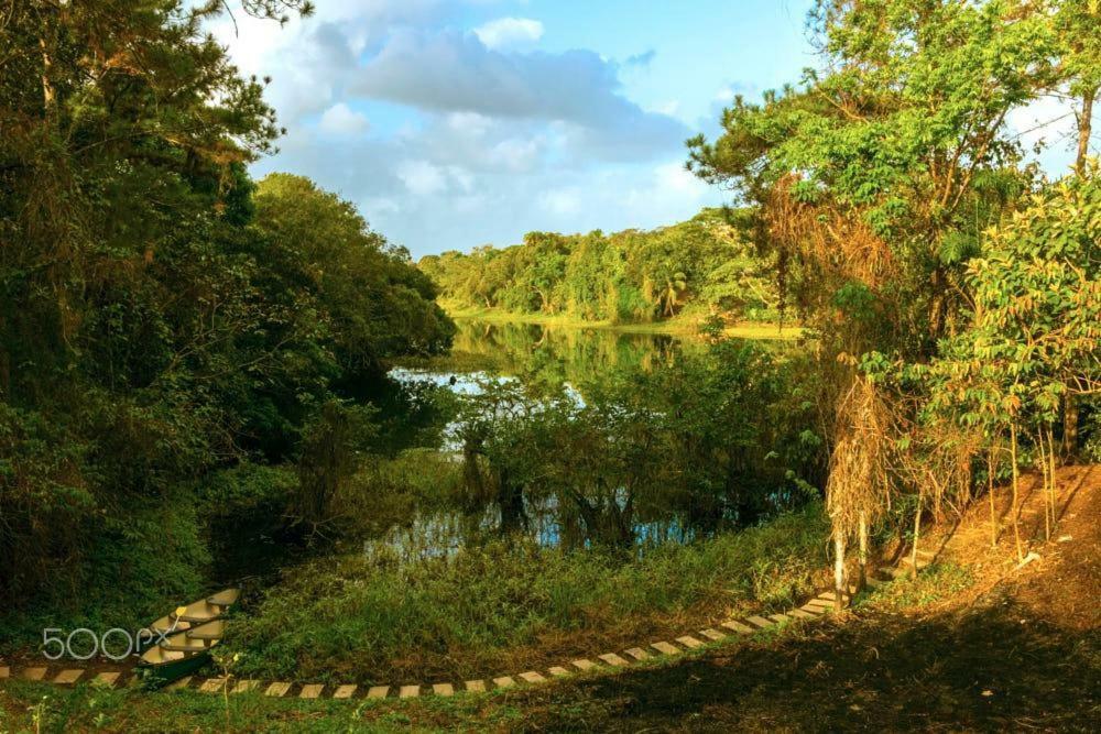 Jungle Eco Reserve 호텔 콜론 외부 사진