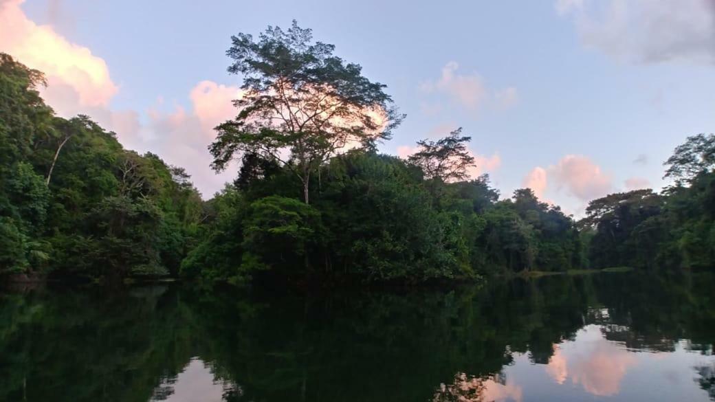 Jungle Eco Reserve 호텔 콜론 외부 사진