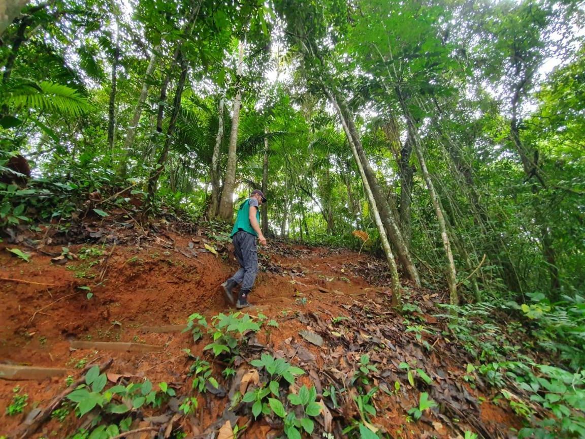 Jungle Eco Reserve 호텔 콜론 외부 사진