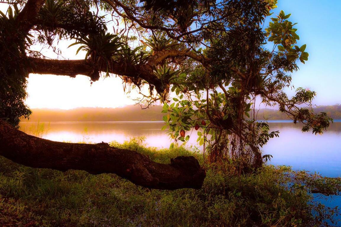 Jungle Eco Reserve 호텔 콜론 외부 사진