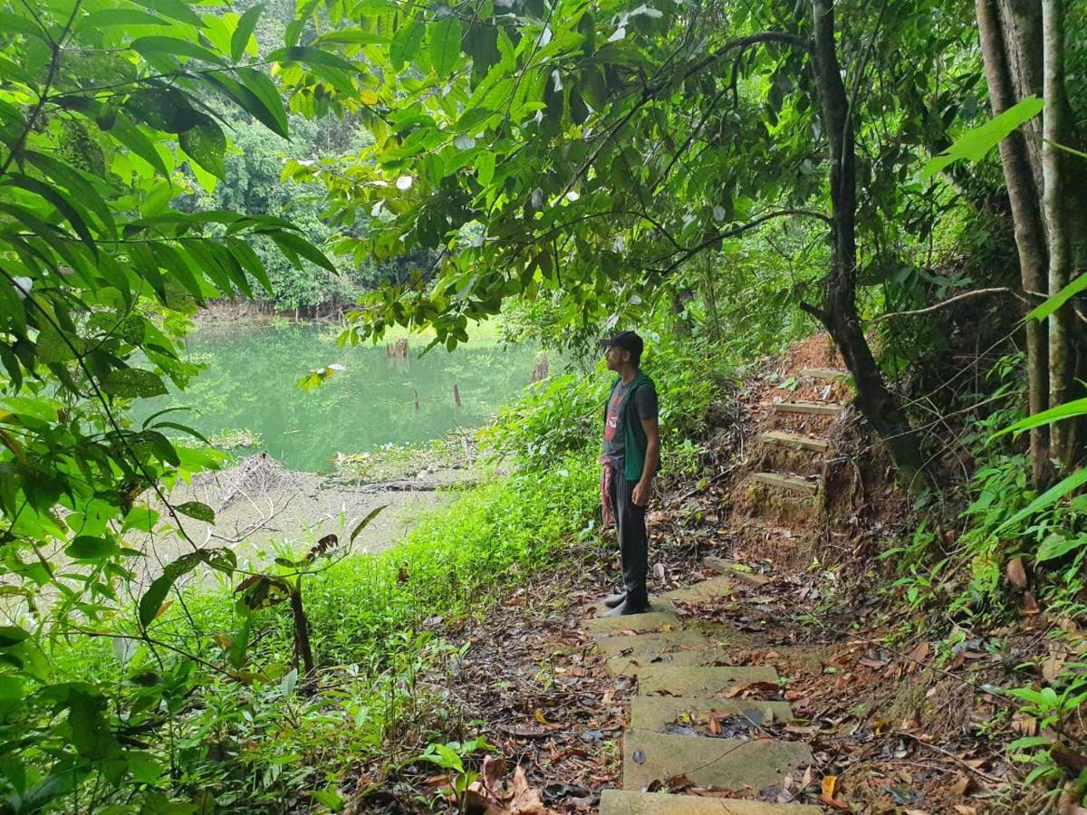 Jungle Eco Reserve 호텔 콜론 외부 사진