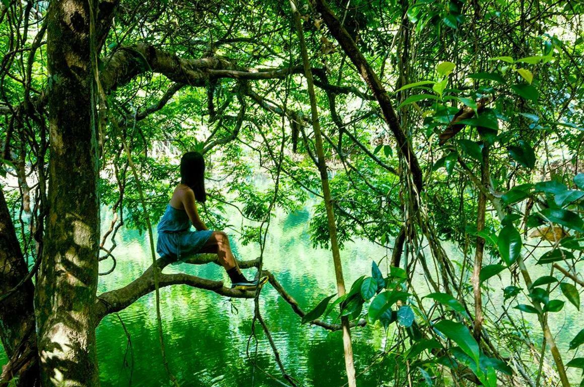 Jungle Eco Reserve 호텔 콜론 외부 사진