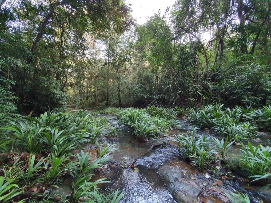 Jungle Eco Reserve 호텔 콜론 외부 사진