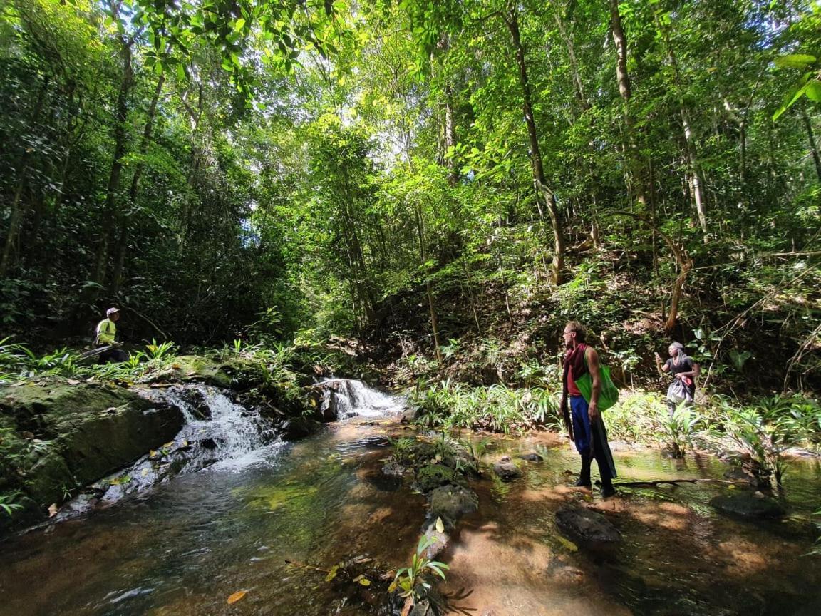 Jungle Eco Reserve 호텔 콜론 외부 사진