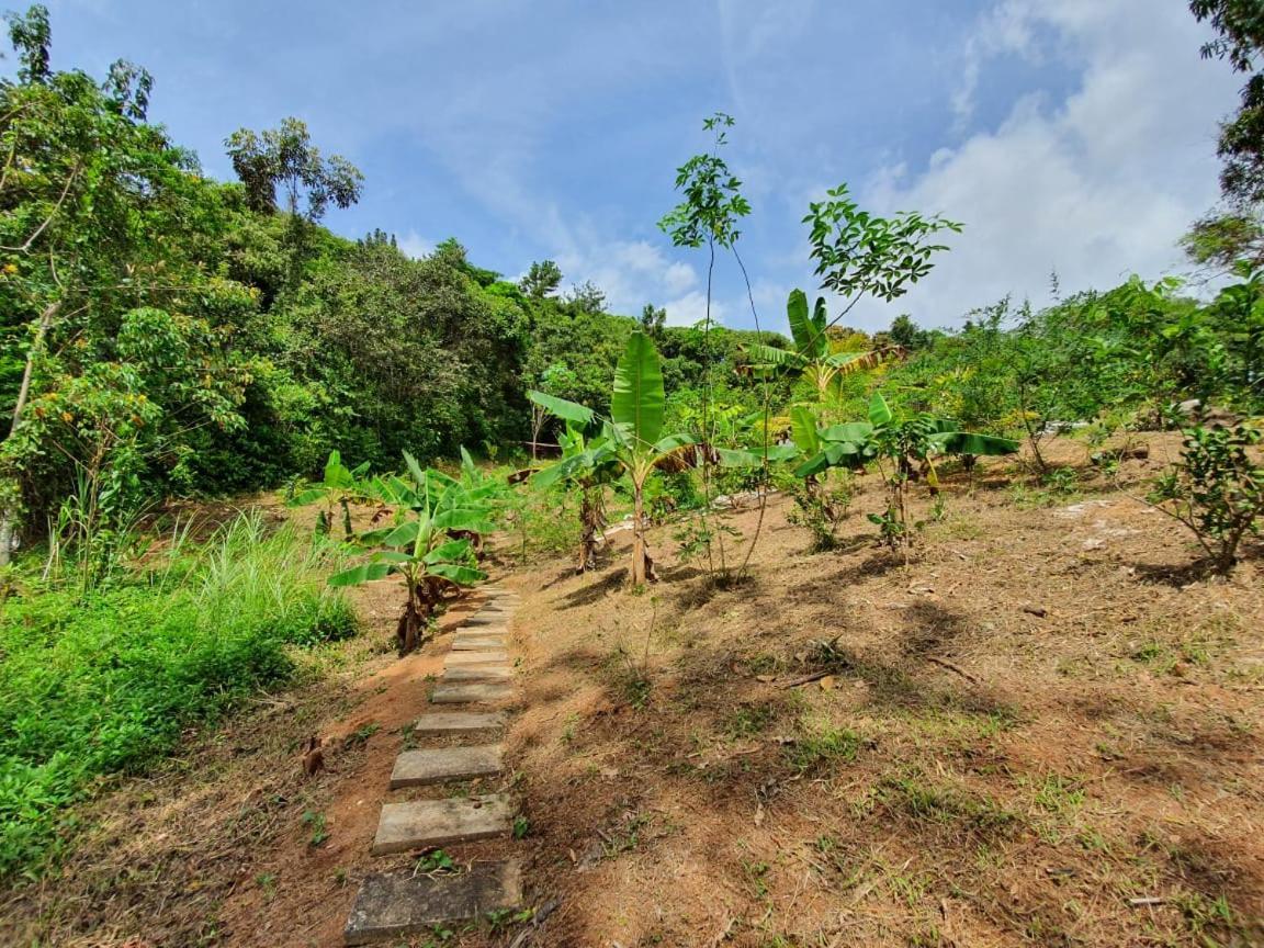 Jungle Eco Reserve 호텔 콜론 외부 사진
