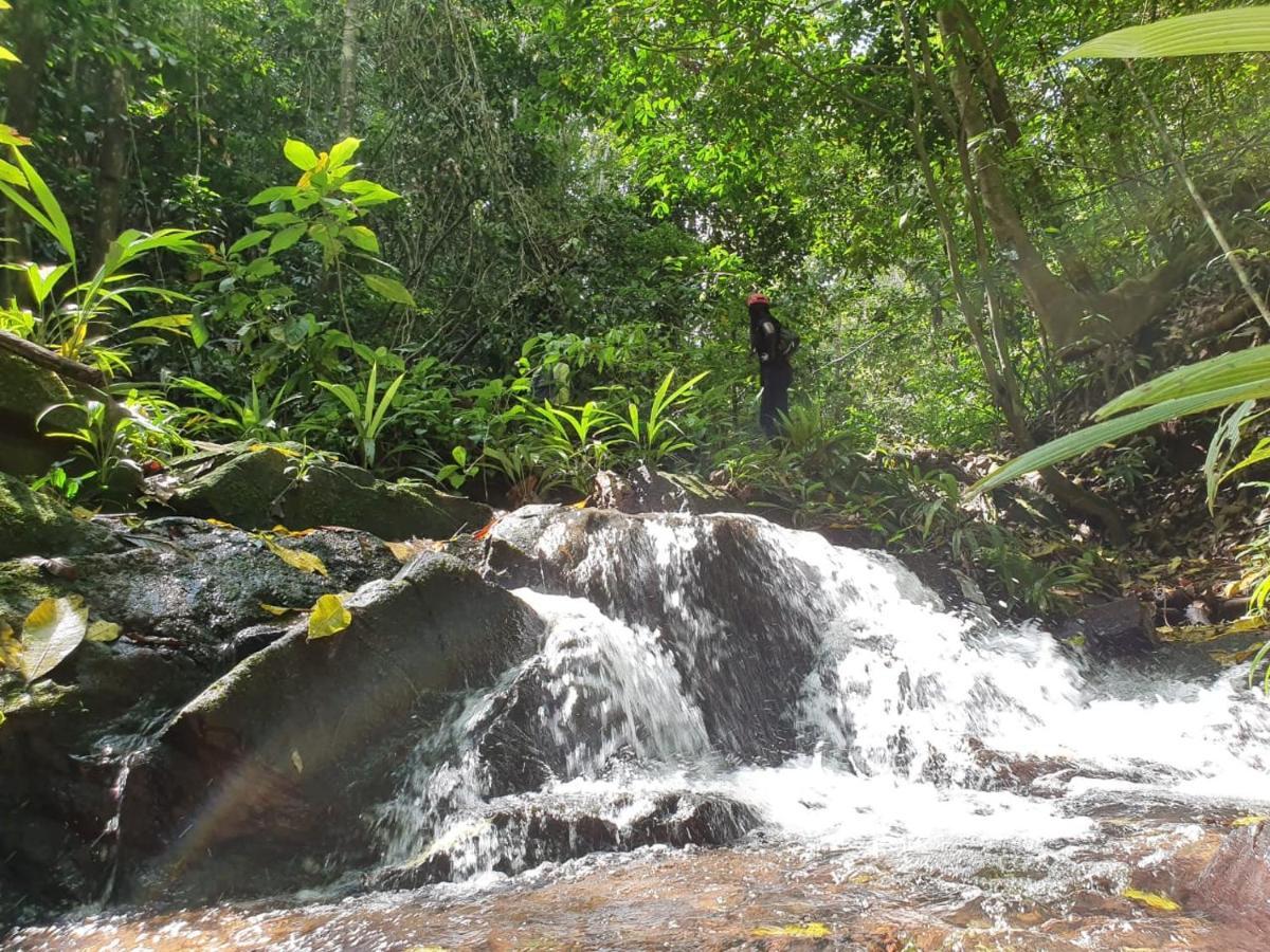 Jungle Eco Reserve 호텔 콜론 외부 사진