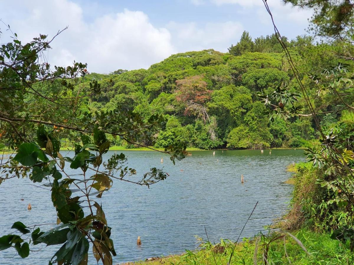 Jungle Eco Reserve 호텔 콜론 외부 사진